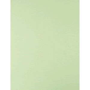 CARTULINA TAMANO CARTA VERDE PALIDO