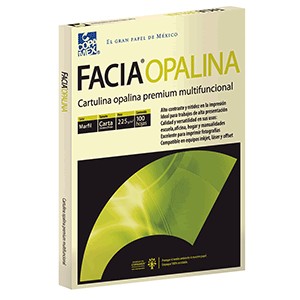 CARTULINA OPALINA MARFIL CARTA 100 HOJAS COPAMEX