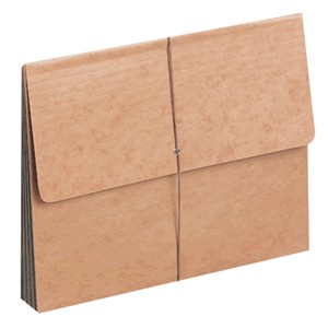 GLOBE WEIS,CARTERA ACORDEON OFICIO S/DIVISIONES GLOBE WEIS