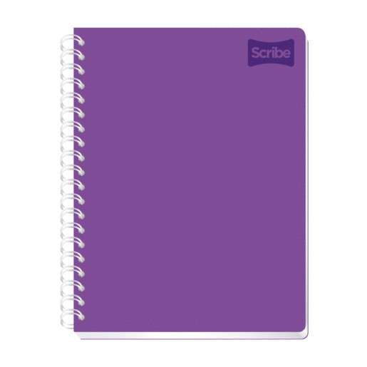 CUADERNO PROFESIONAL RAYA SCRIBE 200 HOJAS