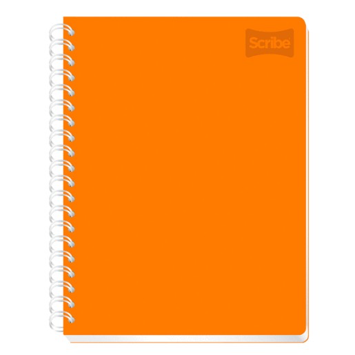 CUADERNO PROFESIONAL RAYA SCRIBE 100 HOJAS