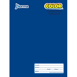 CUDERNO PROFESIONAL COSIDO CUADRO CH NORMA 100 HOJ